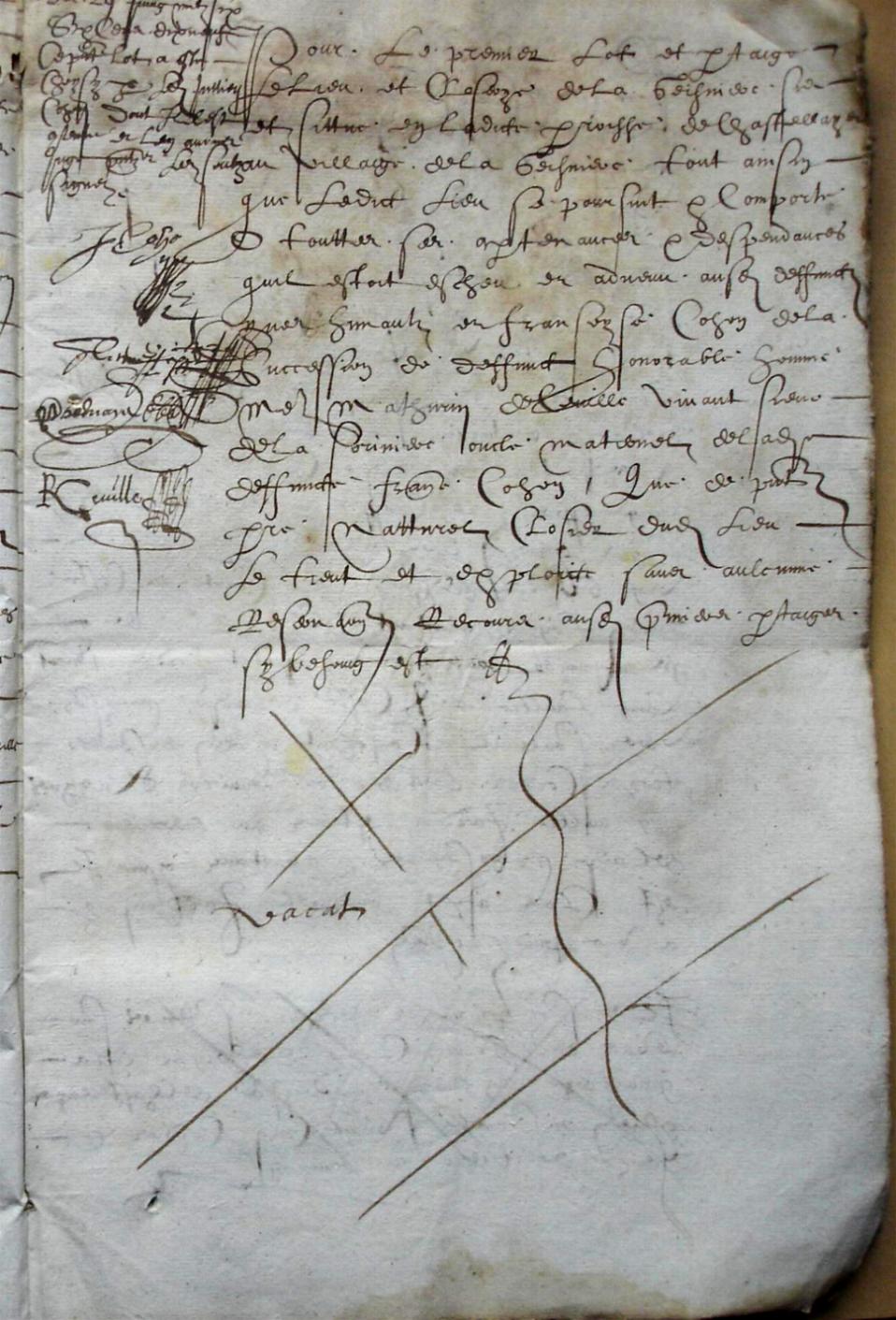 Cohon-F_1619 (3).JPG